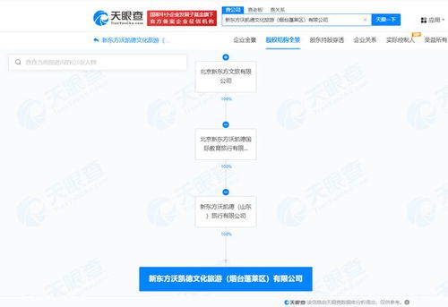 新東方文旅在煙臺成立新公司，聚焦計算機網絡信息及軟件技術開發